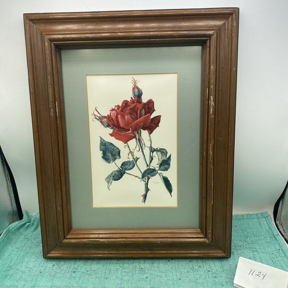 Lovely 1959 Lithograph Red Rose With Stem-Framed & Matted Print